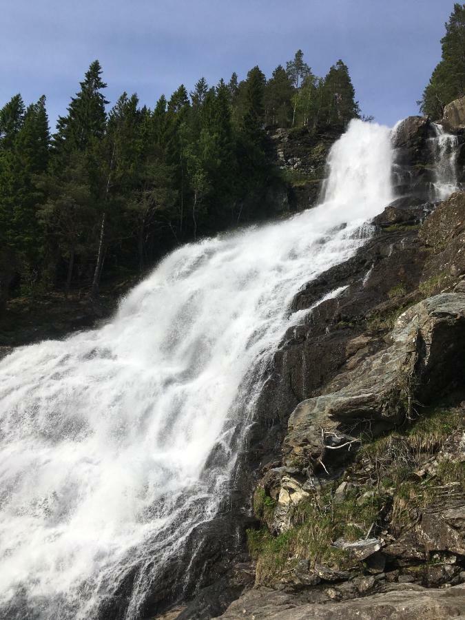 Hammertunet Villa Hopland  Eksteriør bilde