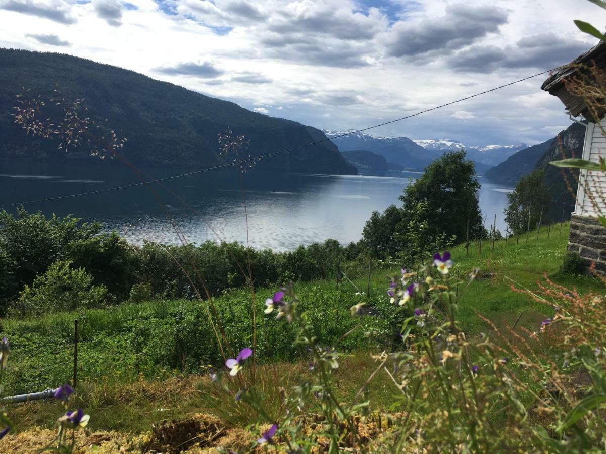 Hammertunet Villa Hopland  Eksteriør bilde