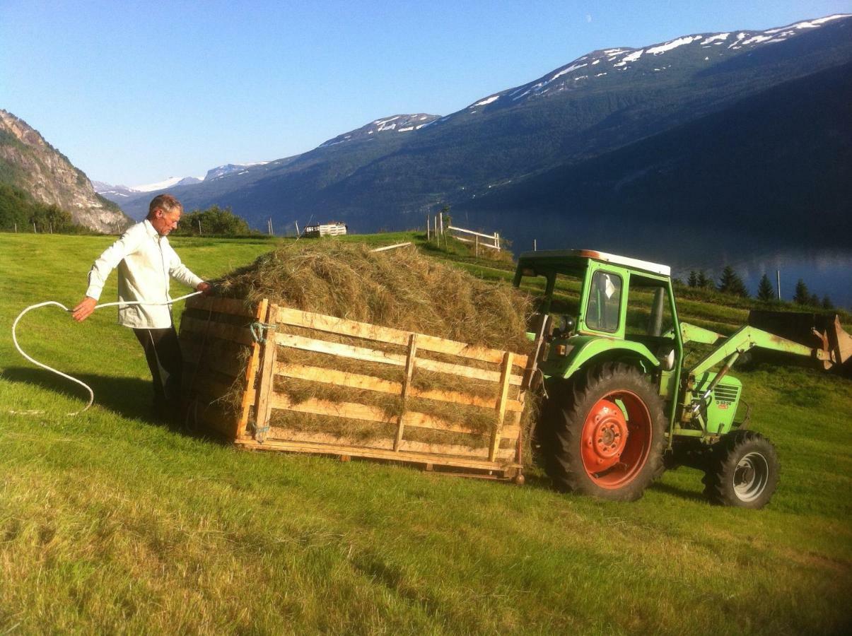 Hammertunet Villa Hopland  Eksteriør bilde