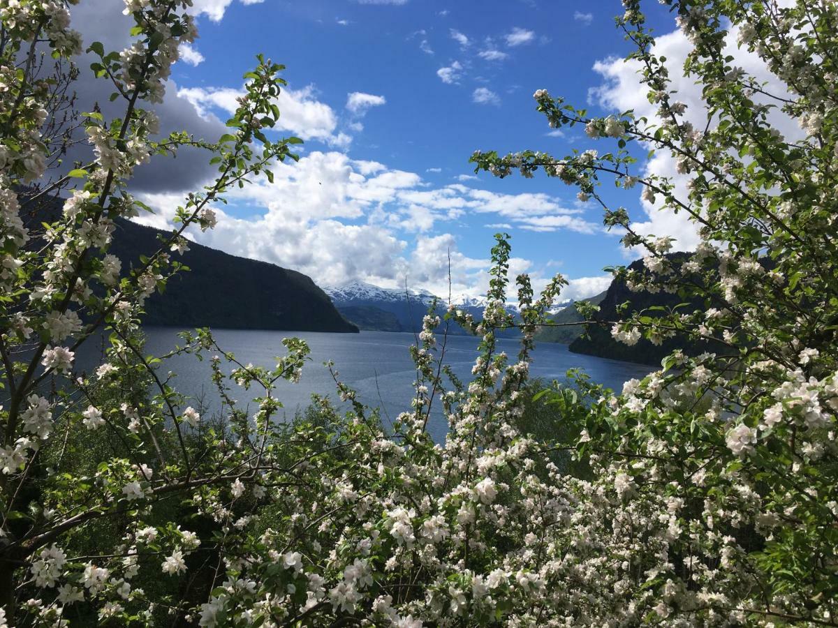 Hammertunet Villa Hopland  Eksteriør bilde